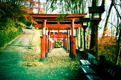 稲荷神社鳥居