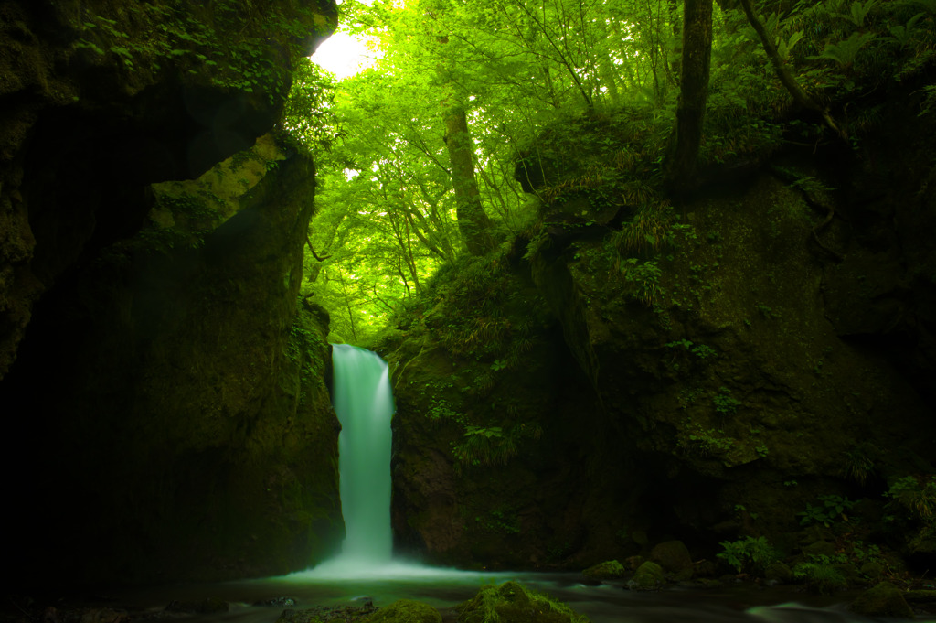 緑深き滝