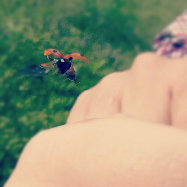 take off!