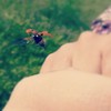 take off!