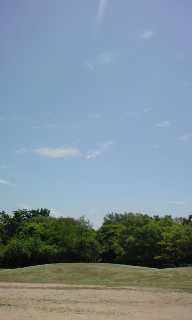 kaisei