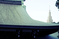 共存