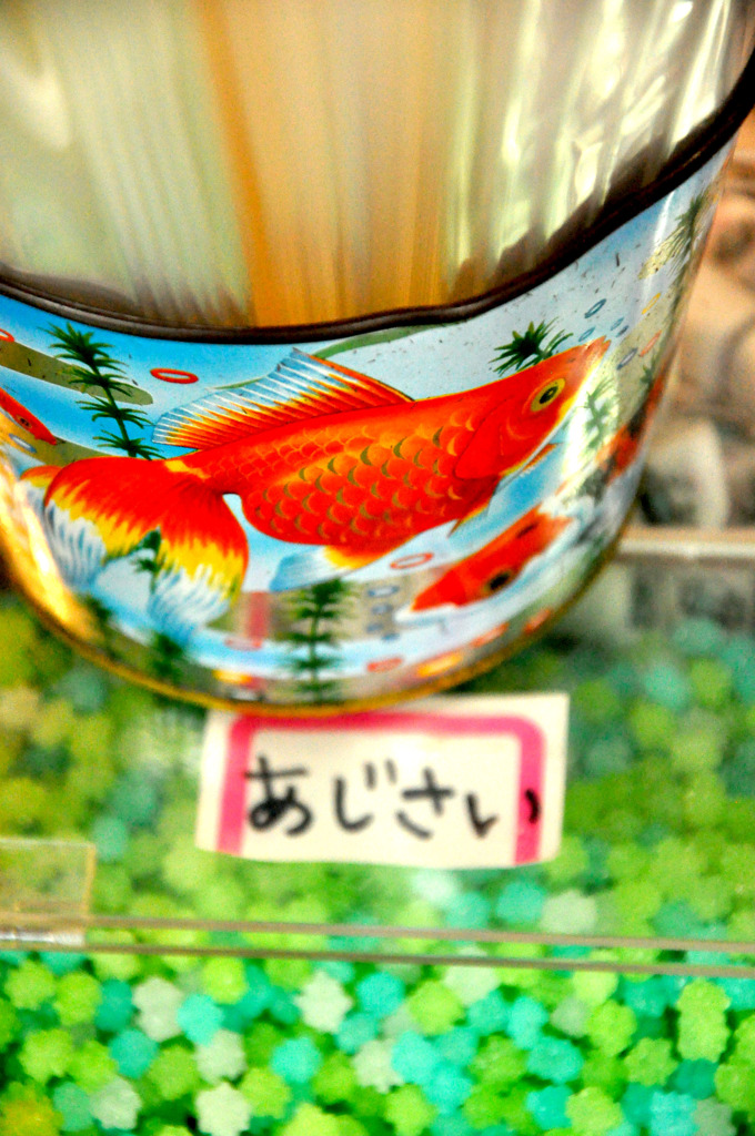 夢