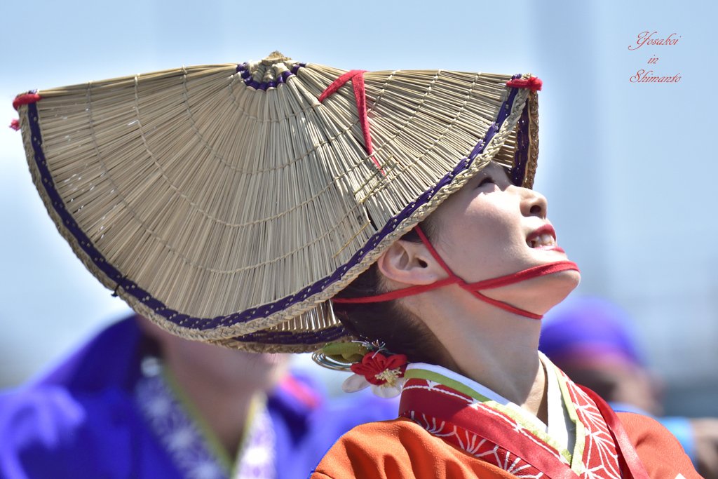 Yosakoi in 四万十　5