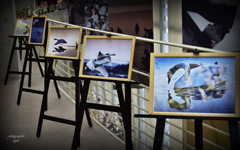 ninjinの写真展1