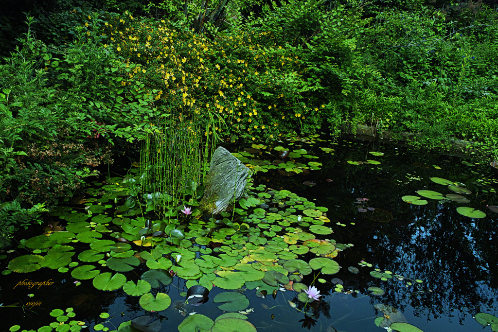 ninjinの松江百景　英国庭園1