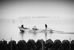 松江百景　朝靄の出漁　宍道湖