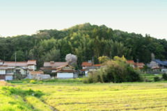 松江百景　花咲く里　1