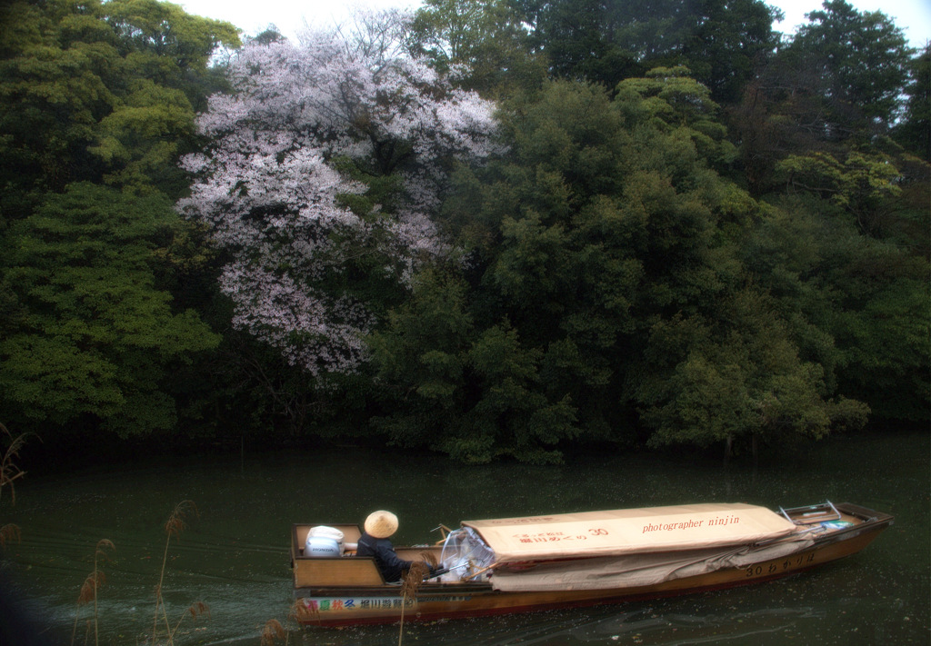 ninjinの松江百景　堀川春景色3