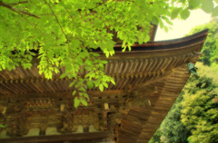 山口散歩　瑠璃光寺　五重塔　