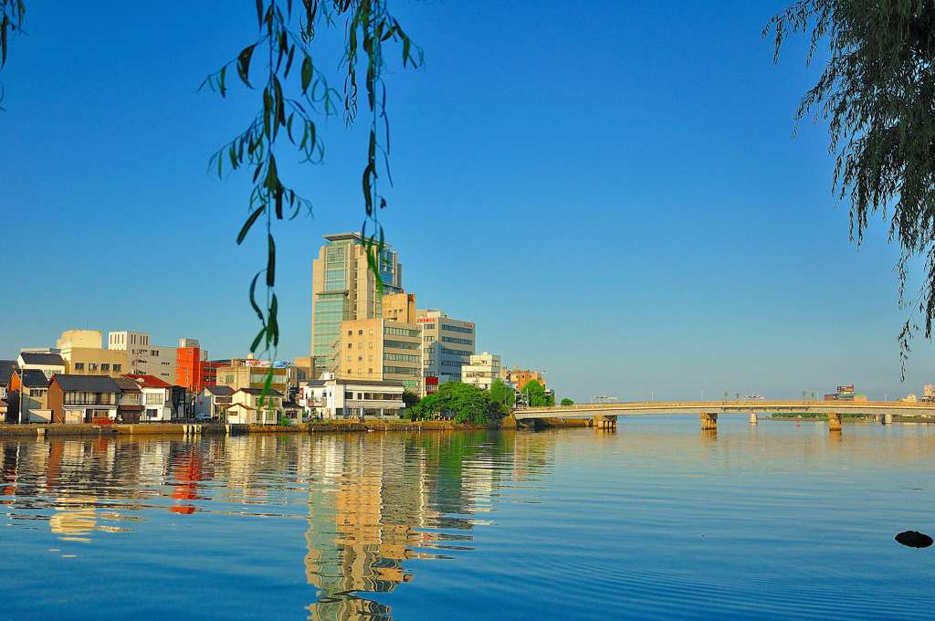 松江百景　川端柳　松江大橋