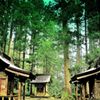 東北百景　木立に住まう神々　羽黒山
