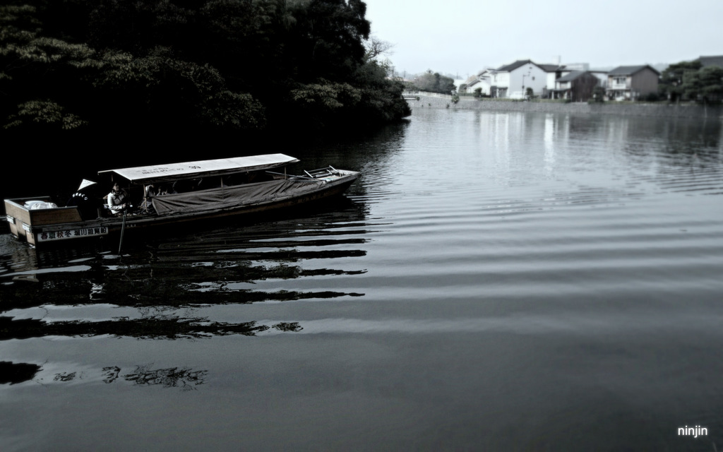 松江百景　霧の朝　堀川　6