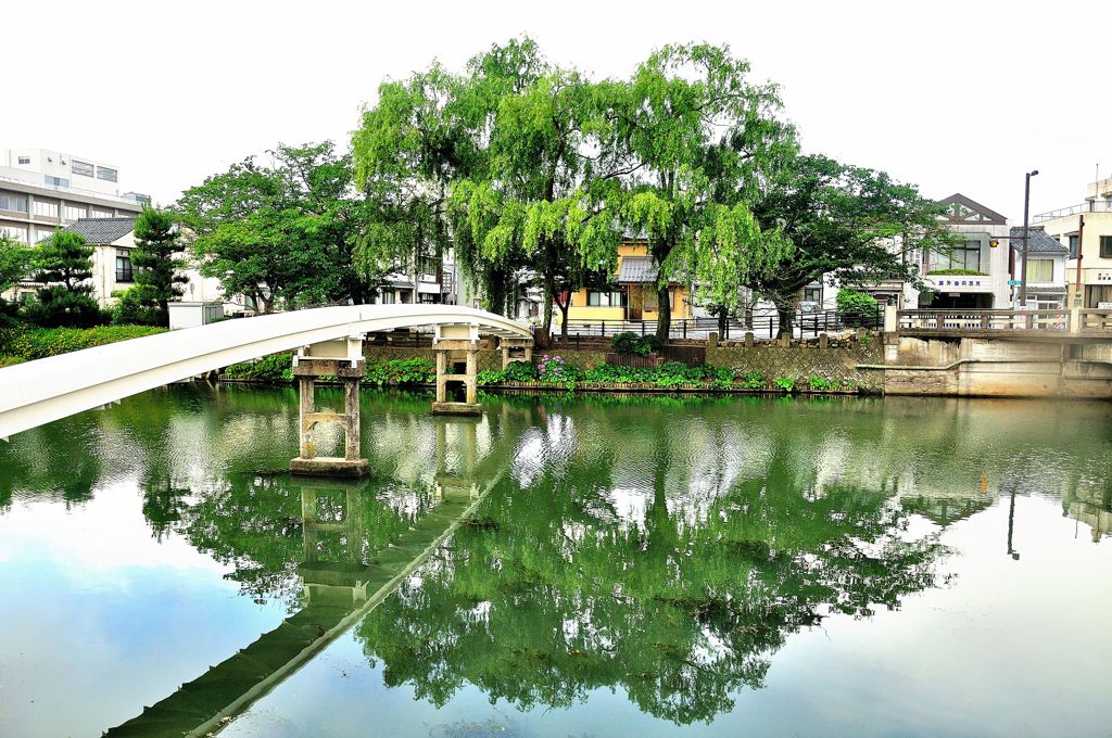 松江百景　堀端の風景　北殿町