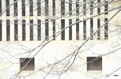 岡山散歩　烏城　1