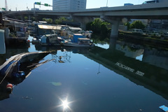 ninjinの横浜散歩　子安の海3　日本の風景