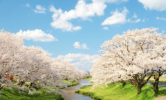 松江百景　ただ春の陽が眩しくて1