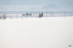 松江百景　霧の朝　宍道湖　8