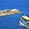 東北百景　被災地に舞う海鳥２　浄土ヶ浜