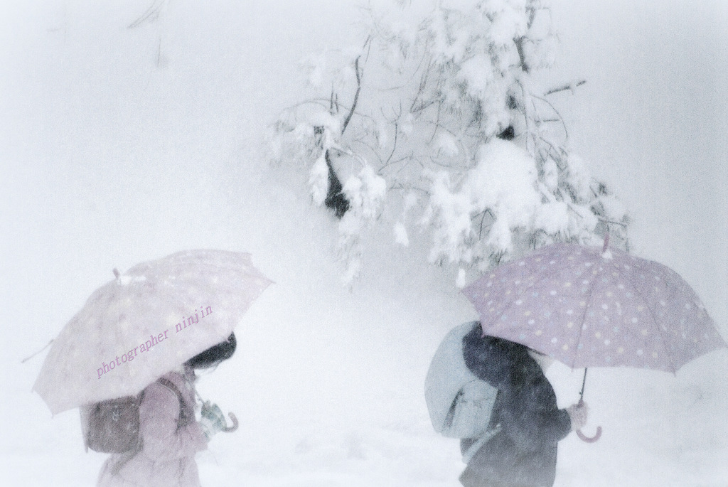 ninjinの松江百景 雪の朝1