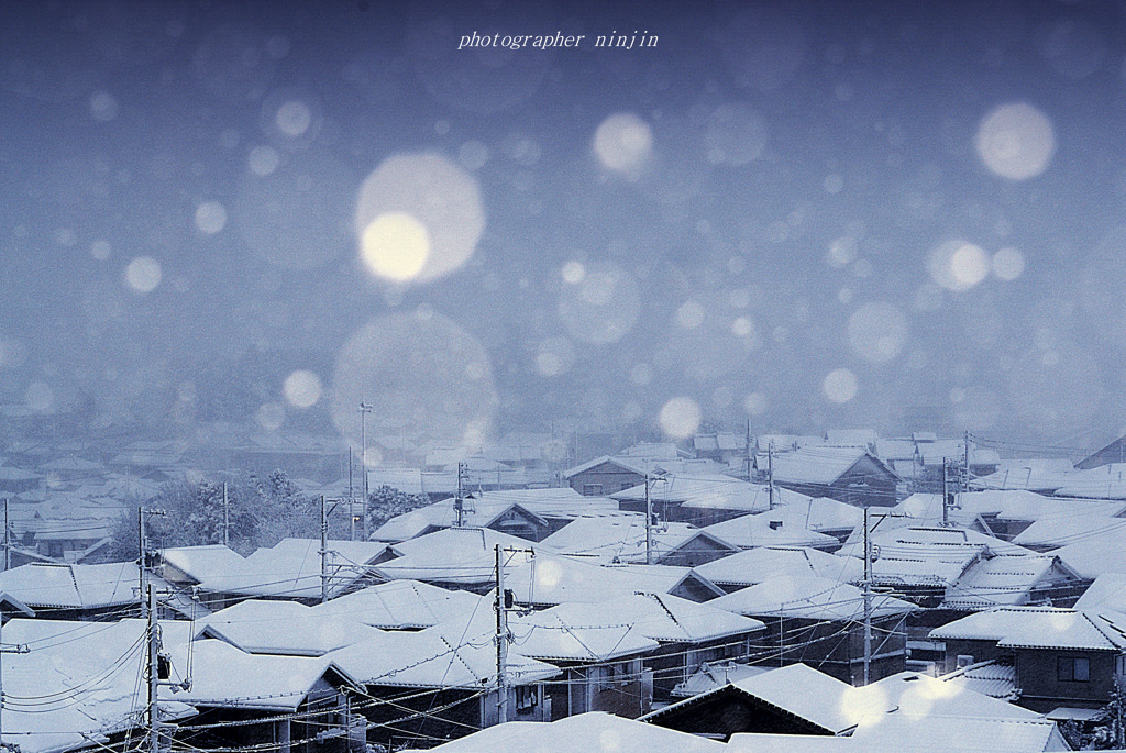 ninjinの松江百景 雪の朝2