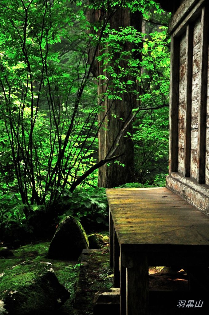 東北百景　神の座　羽黒山