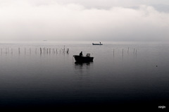 松江百景　霧の朝　宍道湖　３