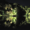 松江百景　「松江水燈路」夜の堀川巡り１