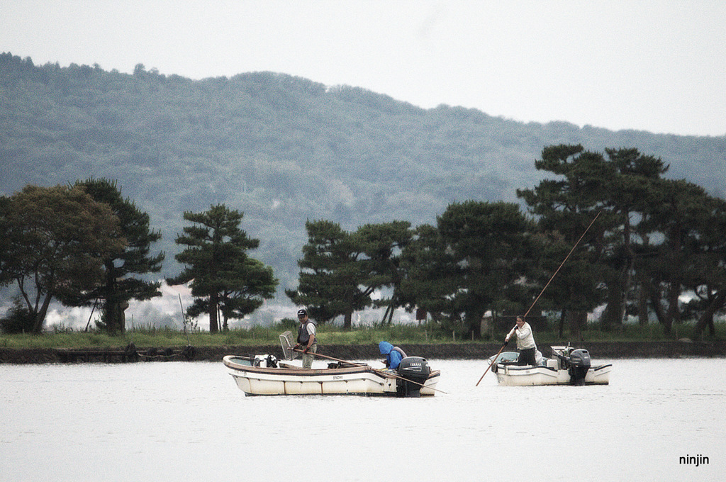 松江百景　いつものしじみ漁　宍道湖　13