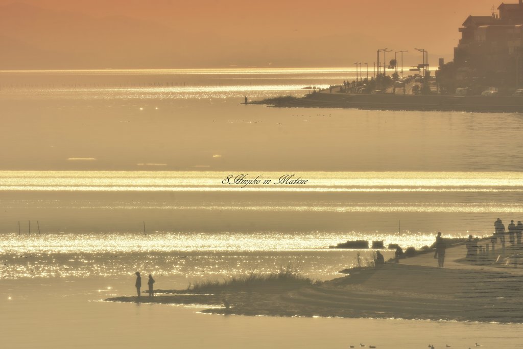 ninjinの松江百景 宍道湖夕景5