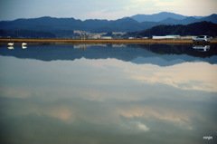 松江百景　白鳥の居る風景