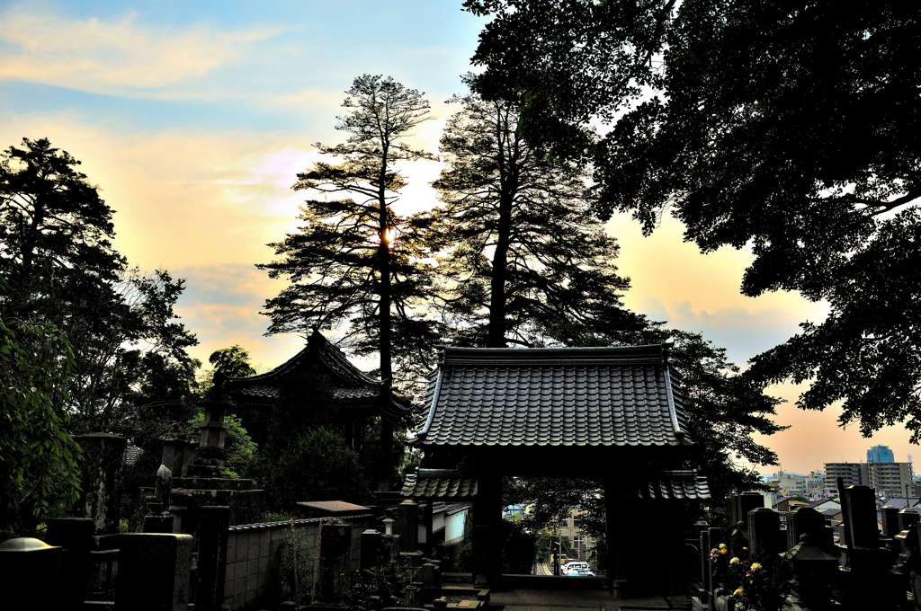 松江百景　清光院　朝日を浴びて