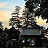 松江百景　清光院　朝日を浴びて