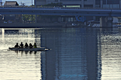 ninjinの松江百景 宍道湖の朝1 ninjinの松江百景 宍道湖の朝1