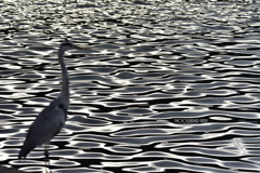 波の不思議 1 波の不思議 1