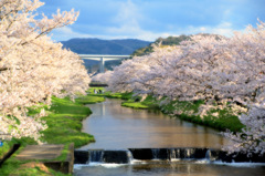 松江百景　ただ春の陽が眩しくて2