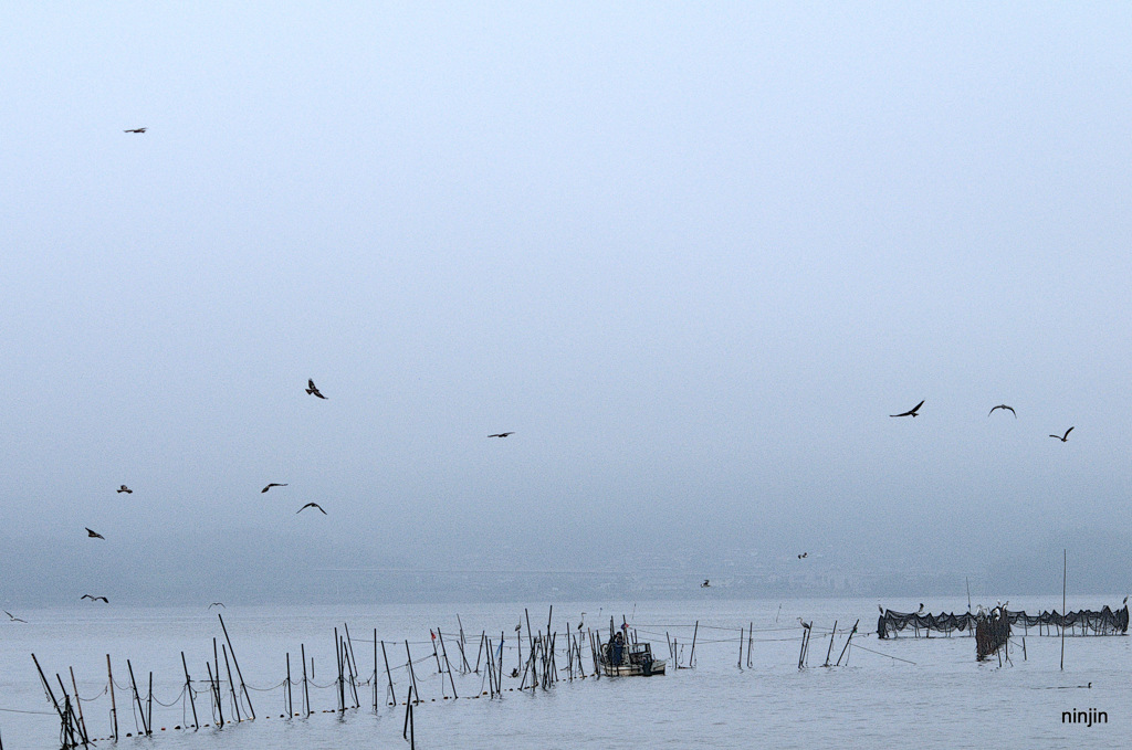 松江百景　霧の朝　宍道湖　２