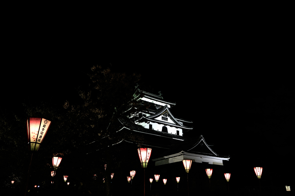 松江百景　城の桜　３