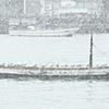 松江百景　今朝の雪　大橋川点描