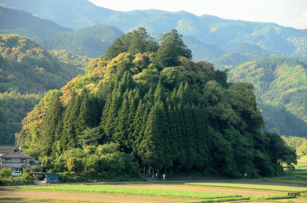 肥後の国散歩　トトロの森　相良村　２