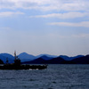 瀬戸内散歩　島の春8