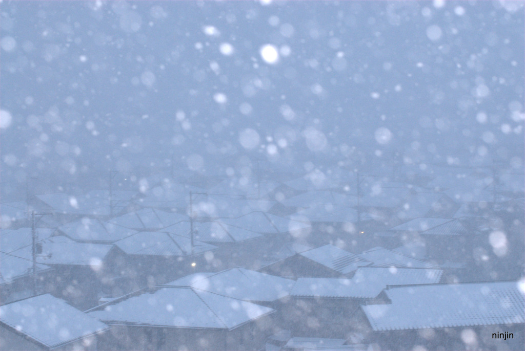 松江百景　雪の朝　1