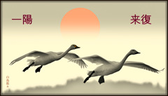 Swans in Shinjiko 2025-51