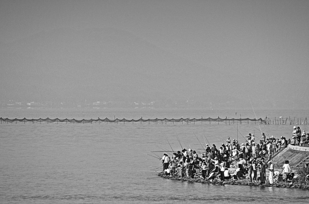 松江百景　ごず釣り大会　宍道湖　１