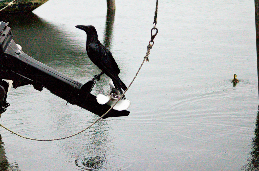 ある船着き場での出来事3