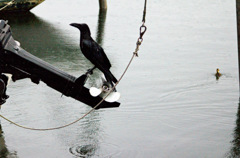 ある船着き場での出来事3