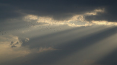 松江百景　天空の神迎え　出雲国　3