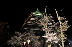 松江百景　城の桜　１