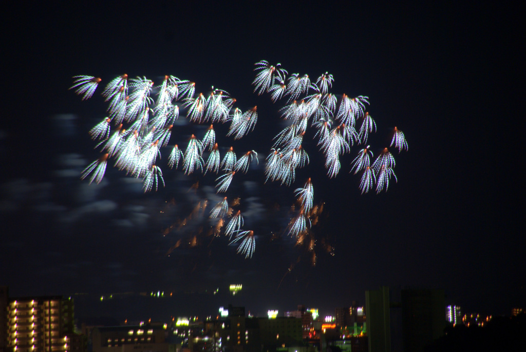 個性的な花火たち　1