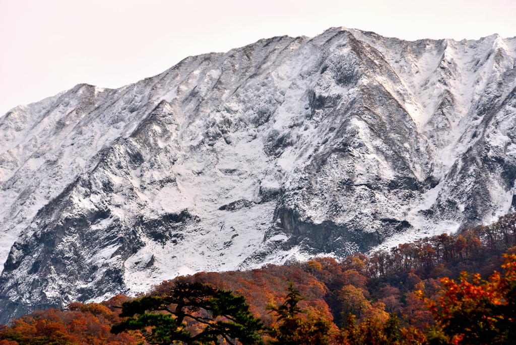 伯耆の国散歩　初冠雪i n 紅葉 　大山（だいせん）